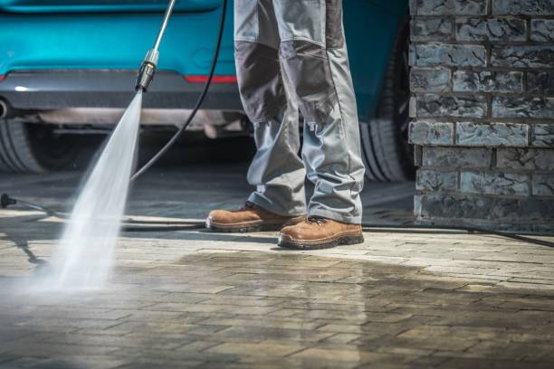 Best Roof Cleaning and Mildew Removal in Worland, WY